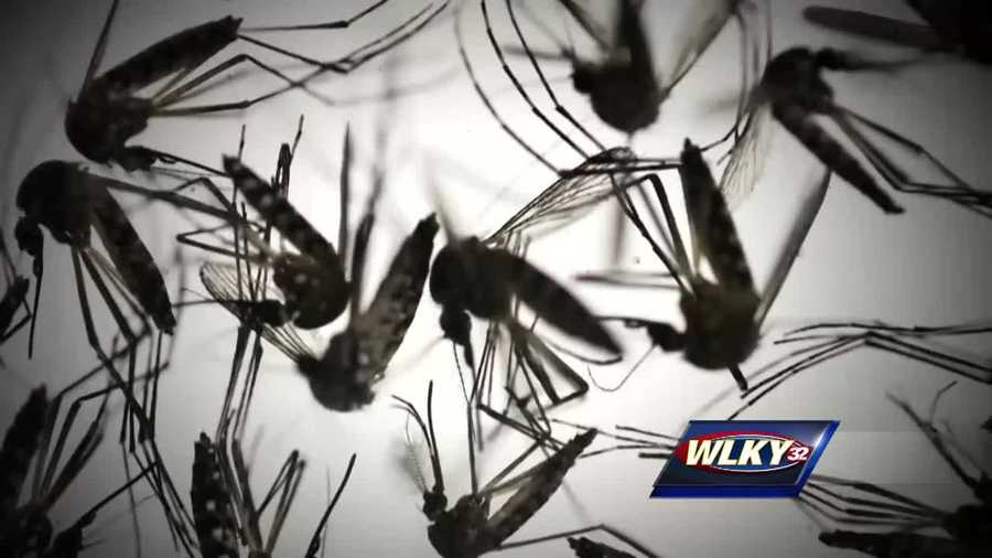 First case of Zika reported in Kentucky