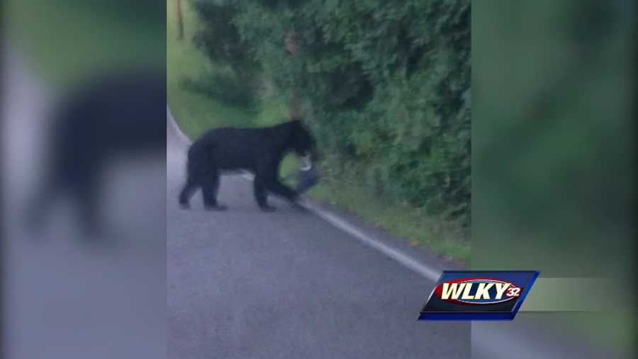A black bear was spotted Sunday night and Monday afternoon in southern Indiana has a community on alert.