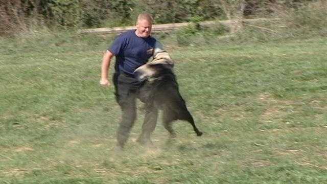 Watch how police K-9 units are trained in Grant County.