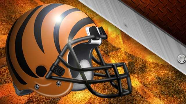 Cincinnati Bengals: Bengals, Bearcats, Buckeyes… oh my!…