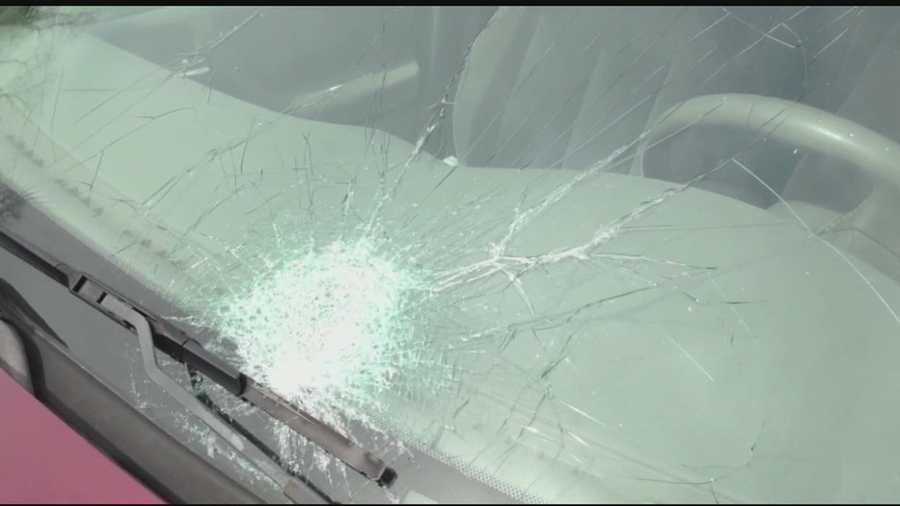Springfield Township police say dozens of cars have been damaged after being shot with what they believe to be BB guns.