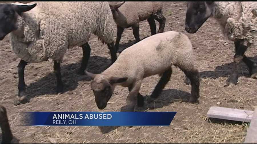 A Butler County family is looking for answers after someone killed some of their animals and wounded others.