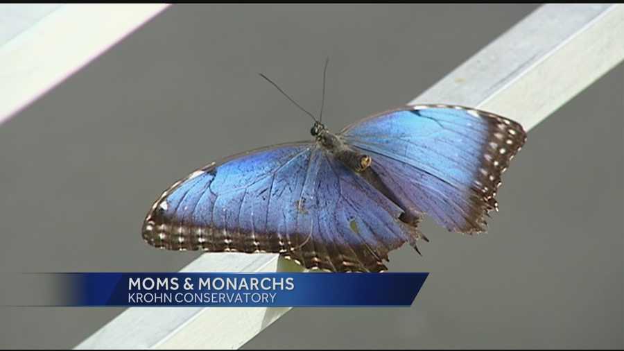 Moms from across the Tri-State gained free entry to several attractions for Mother’s Day.