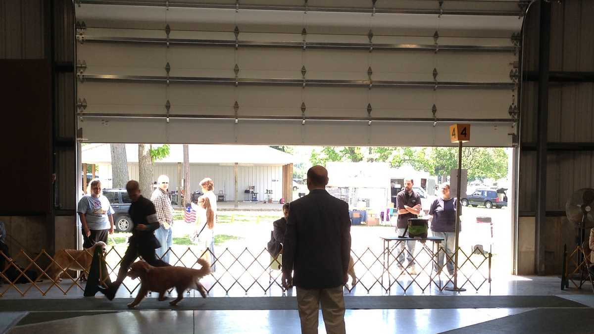 Photos Memorial Day Dog Show