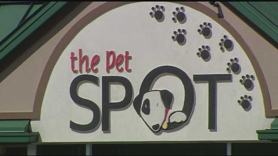 A Norwood pet resort has temporarily closed its day care operation due to an illness that has sickened several dogs, three of which died.