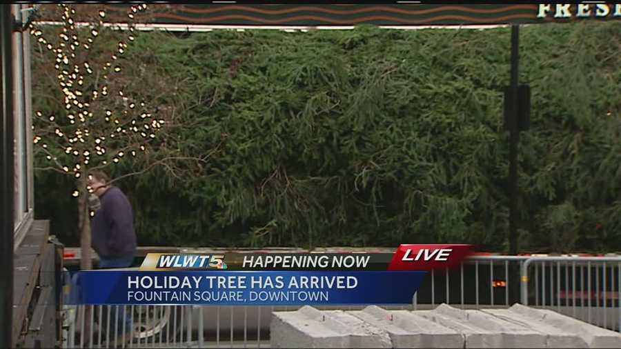 The replacement tree is a 55-foot Norway Spruce from Rittman, Ohio up near Akron.