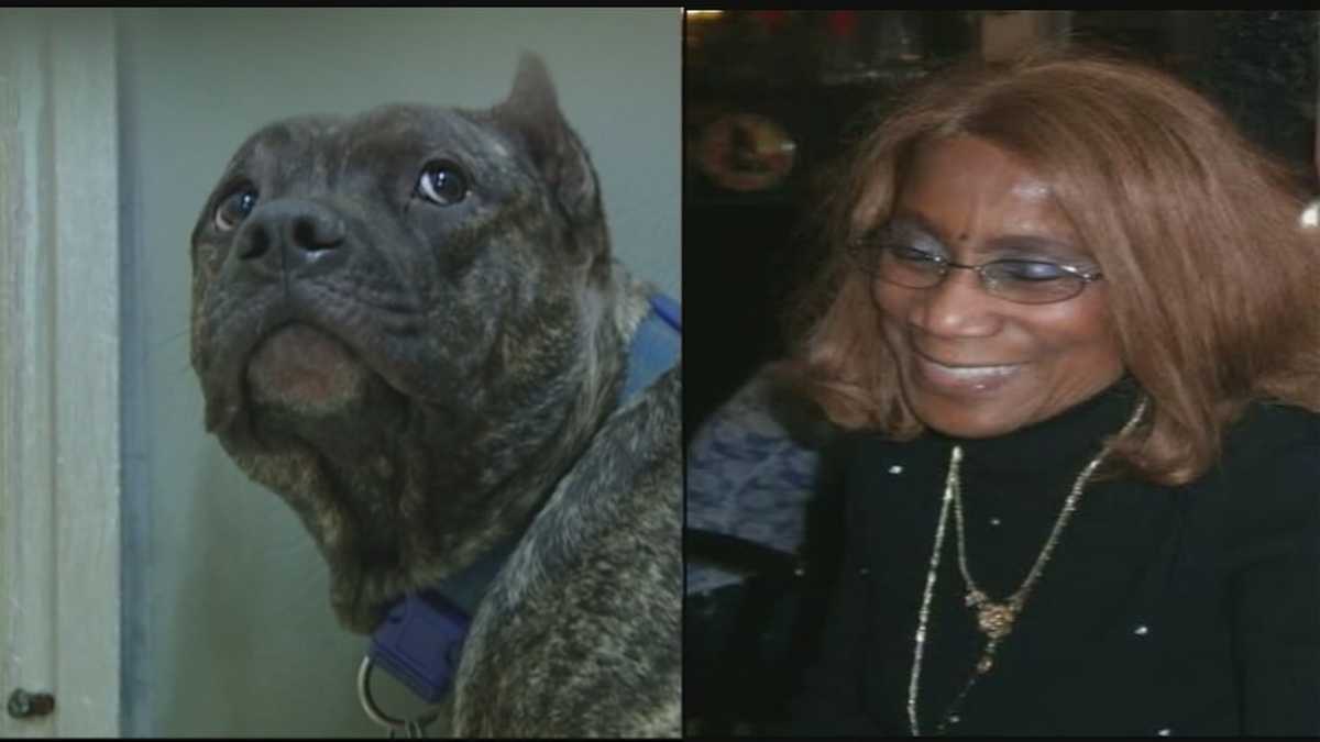 Woman remains in serious condition after being attacked by 2 dogs