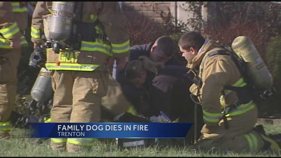 A family's dog died in a fire at a firefighter's house in Trenton.