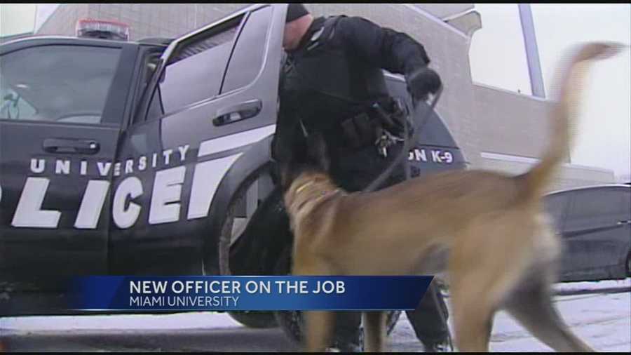 Figo, an explosion detection dog, is the newest addition to the Miami University police squad.