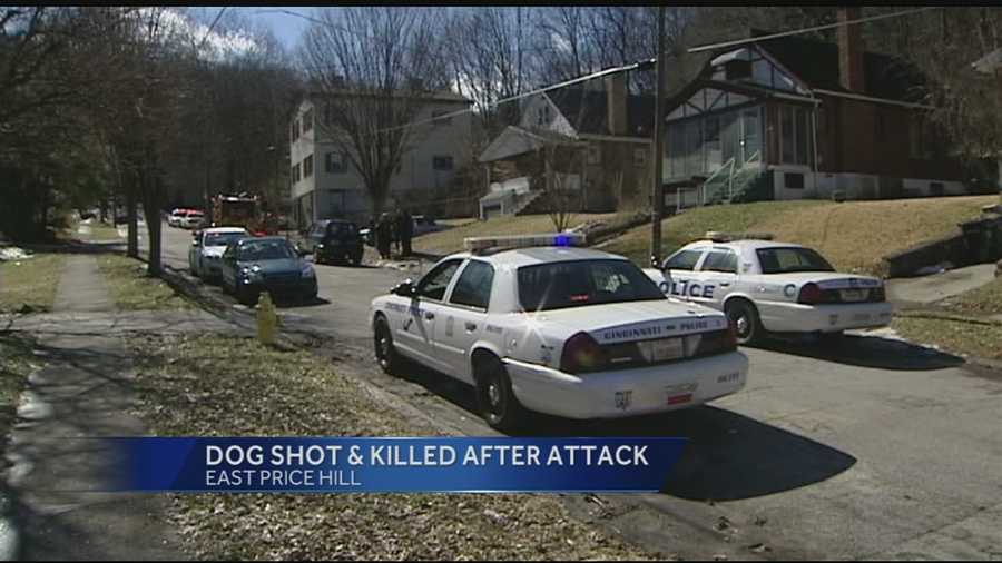 Cincinnati police officers said the victim was attacked by the dog after it broke free from its chain in a backyard.