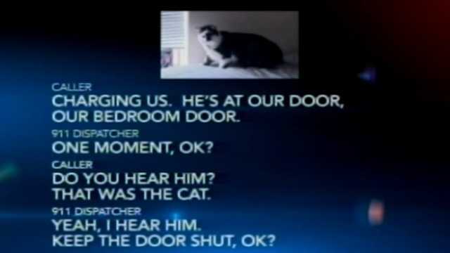 Couple call police and claim their pet cat is 'holding them hostage', The  Independent