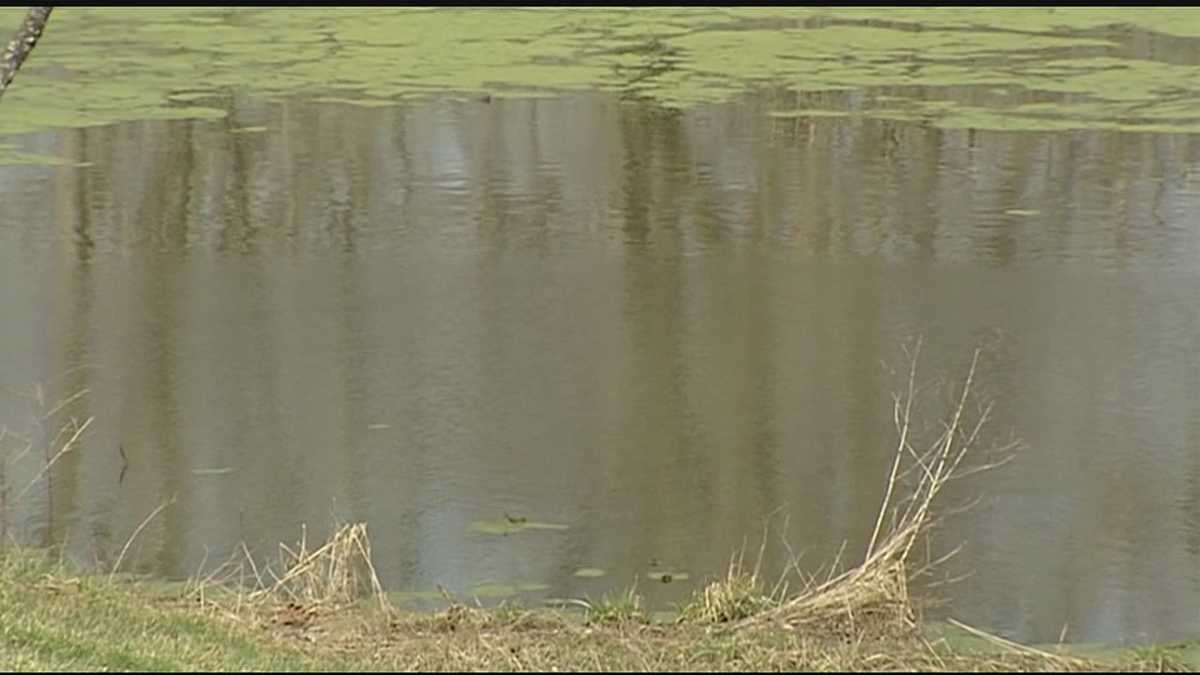 Report Missing Se Ind Woman Found Dead In Pond 