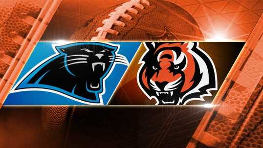 Week 6: Panthers at Bengals: The Bengals play the Carolina Panthers at Paul Brown Stadium on Sunday, Oct. 12 at 1 p.m.