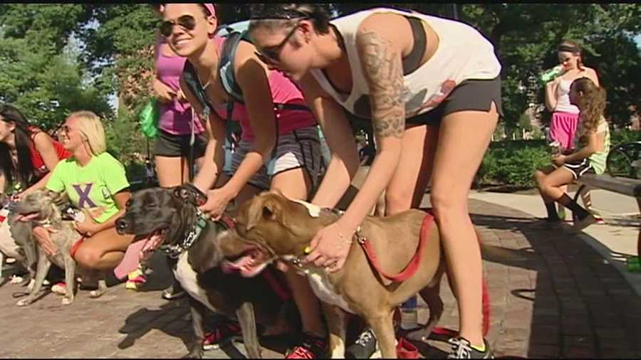 Dozens of pit bull owners walked from Washington Park to Downtown calling on other owners to take responsibility for their pets.