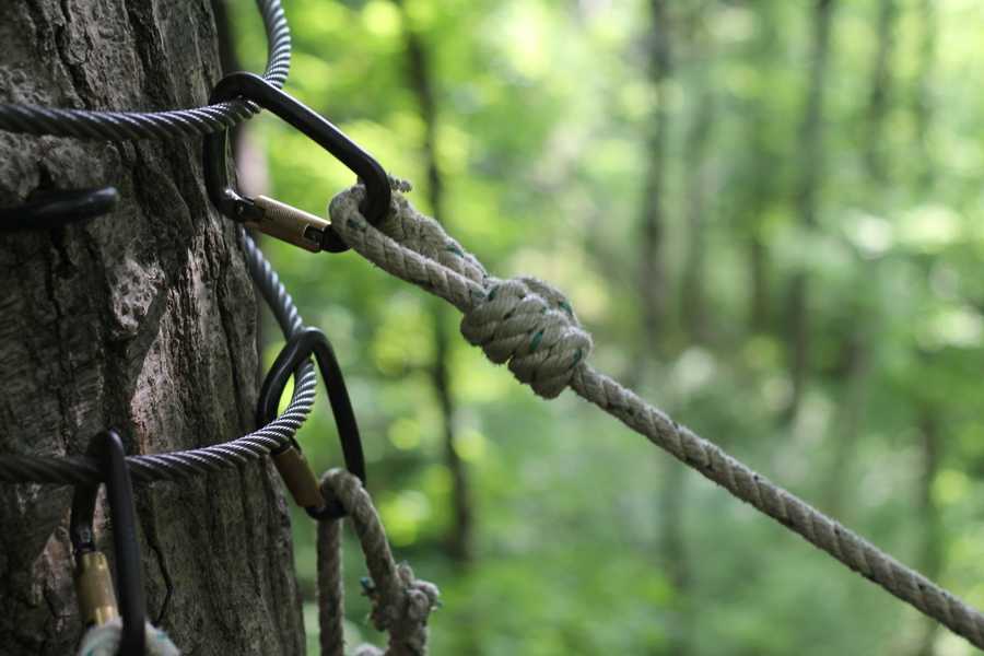 YMCA Camp Kern celebrates zipline's 5 years