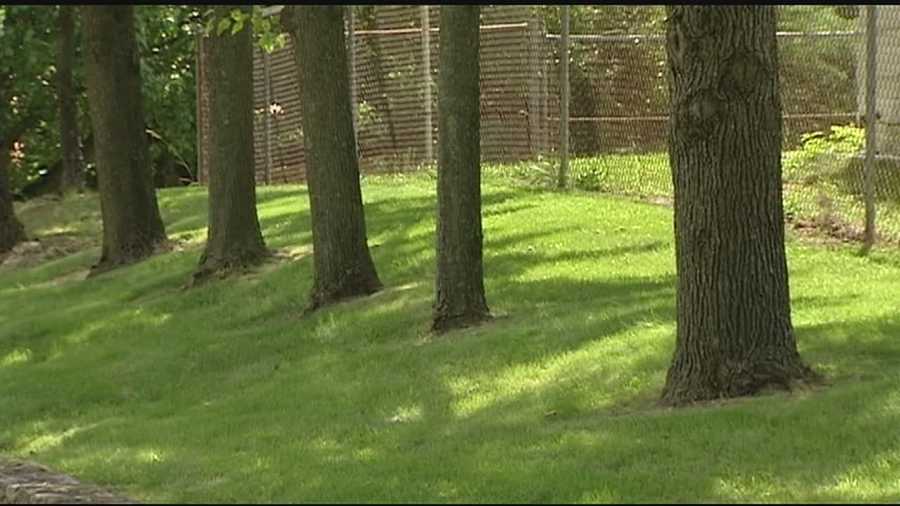 The Hamilton County Soil & Water Conservation District is taking orders from landowners who can request one of six types of trees for $5. The district has 300 trees available.
