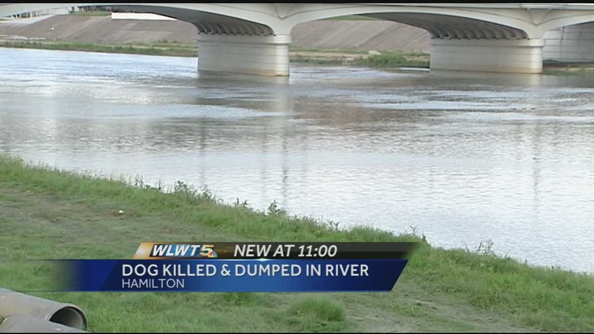 Police investigating, reward offered after dog found dead in river