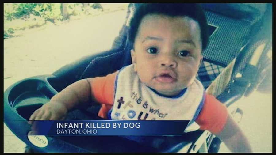 Police said the baby lives in Indianapolis but was spending the day in Dayton at his step-grandmothers house when her dog attacked him.The next door neighbor called 911.