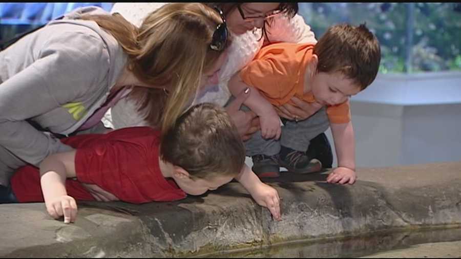 Dozens of home-schooled students, grades kindergarten through 12th grade, learned quite a bit about sharks and the many other sea creatures at Monday's event specifically tailored to them