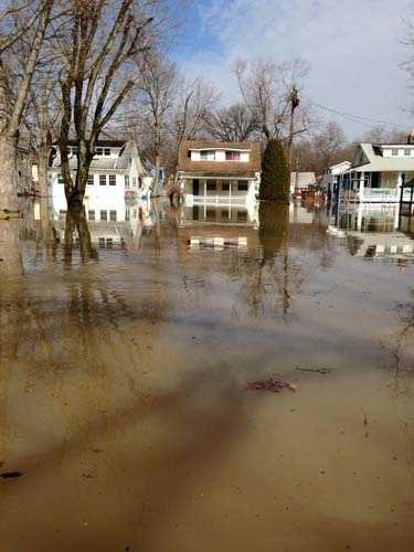 Images: Shademoore Park Flooding