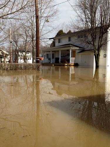 Images: Shademoore Park flooding