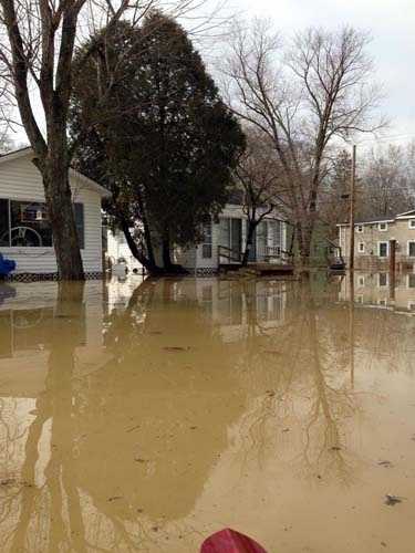 Images: Shademoore Park flooding