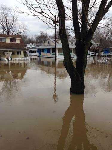 Images: Shademoore Park flooding