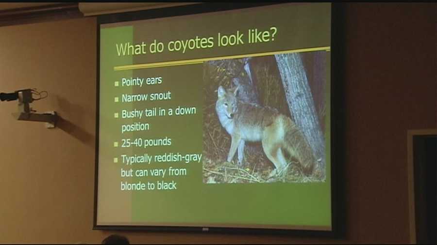 photo Chester Vs Coyote Hd west chester residents learn more about