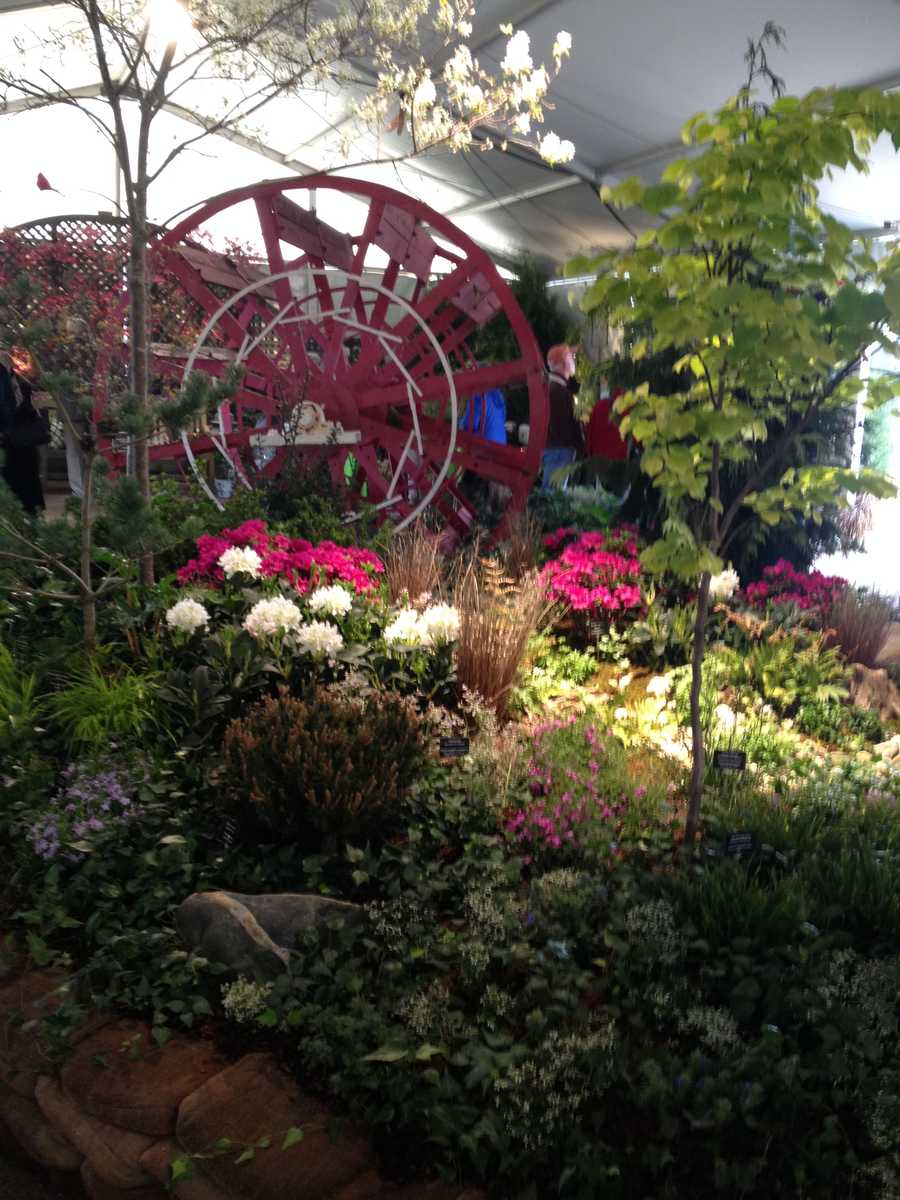 Photos 2015 Cincinnati Flower Show