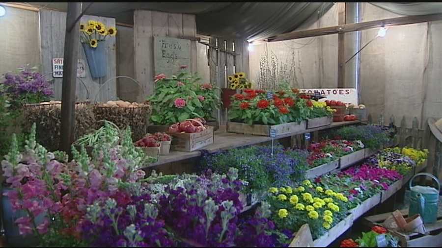 The Cincinnati Garden show has been on hiatus for the past five years, but now it’s back with a new location and plenty of new ideas.