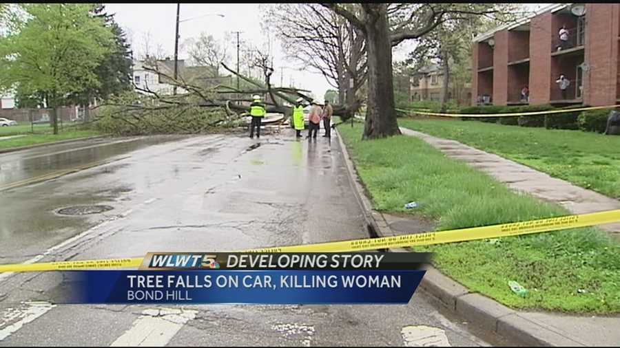 The city of Cincinnati told WLWT the tree had been marked for removal but was not considered an imminent threat.