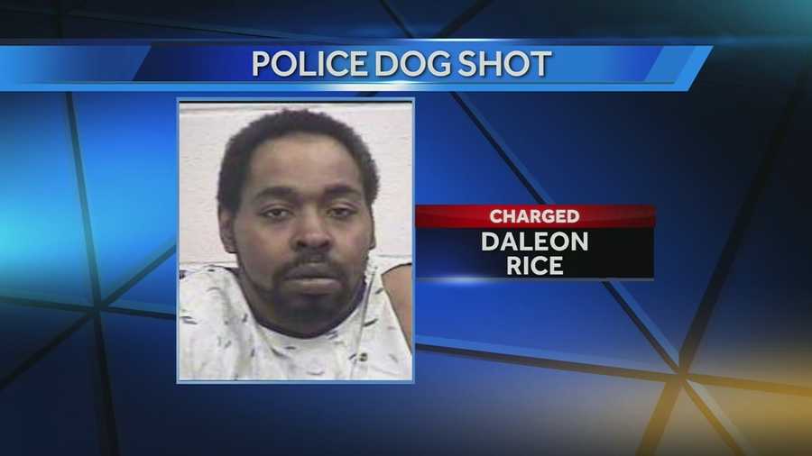 The man accused of shooting a Covington police dog and shooting at a Covington police officer was arraigned Thursday morning.