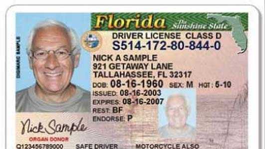 Driving Without a Valid Driver's License in Florida - Leifert