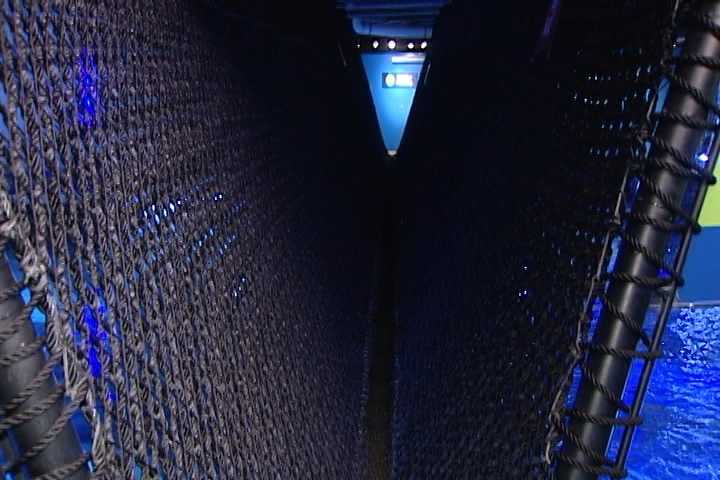 View of Newport Aquarium's shark exhibit rope bridge