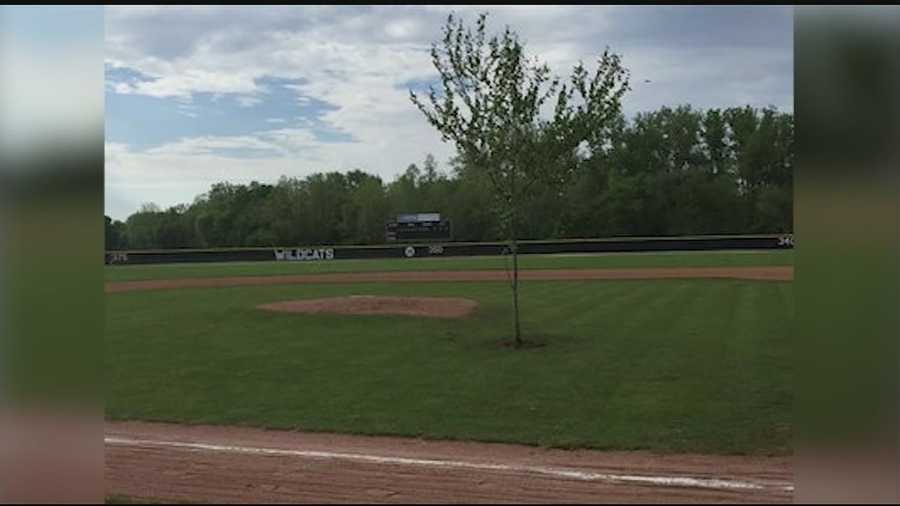 Franklin High School's Athletic Director, Brian Bales, received a call Saturday morning from the parks director about the tree.