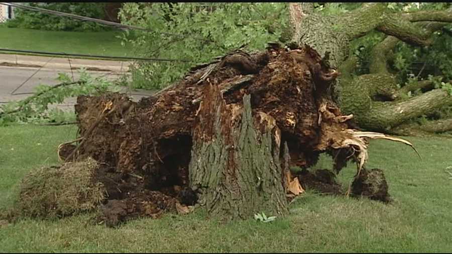 Strong winds and rain caused trees to fall into power lines and other damage.