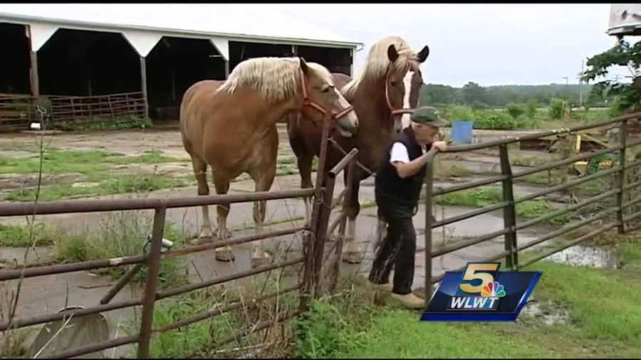 (img1)Karin Johnson The caisson for the prosecution (1) A Liberty Township farmer, his two horses and a caisson will provide Officer Sonny Kim his last ride to his final resting place.