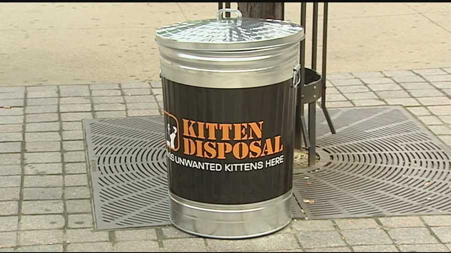 Using trash cans and audio recordings of a cat's meow, an new effort was made in Cincinnati on Friday to control the city's cat population.