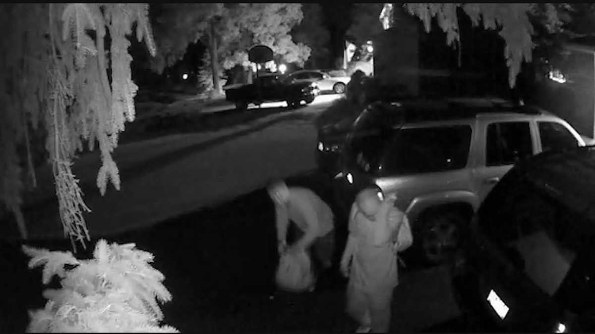Police search for thieves after 17 cars broken into in one night