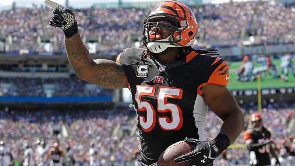 Bengals Release Vontaze Burfict