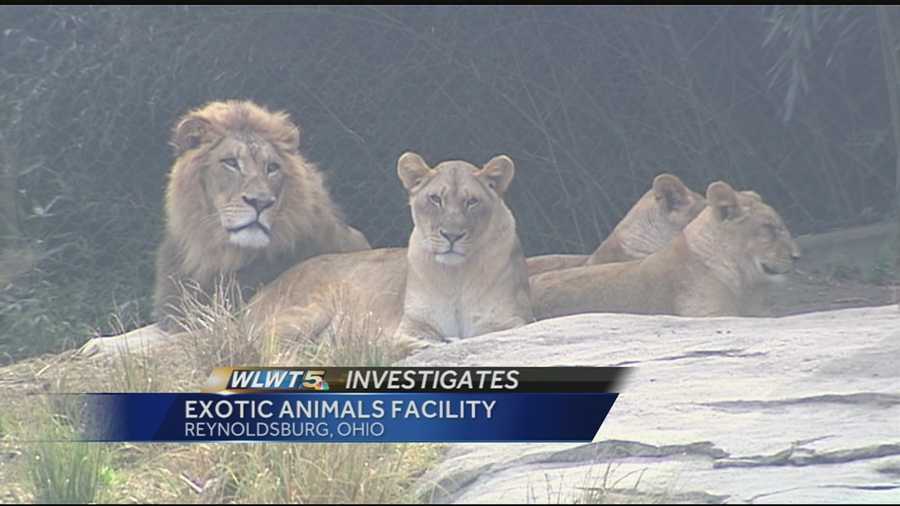 $500,000 request raises questions about wild animal holding facility in Ohio $500,000 request raises questions about wild animal holding facility in Ohio