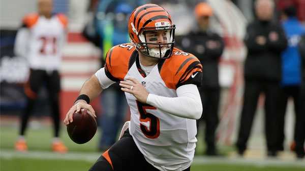 Cincinnati Bengals clinch 5th straight playoff berth with 24-14 win - ABC7  San Francisco