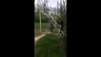 Doe in distress: Helpful officers free tangled deer