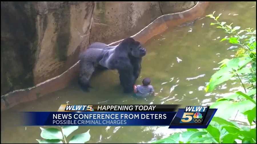 Joe Deters will say if a woman faces charges for an incident that ended with the death of a Cincinnati Zoo gorilla.