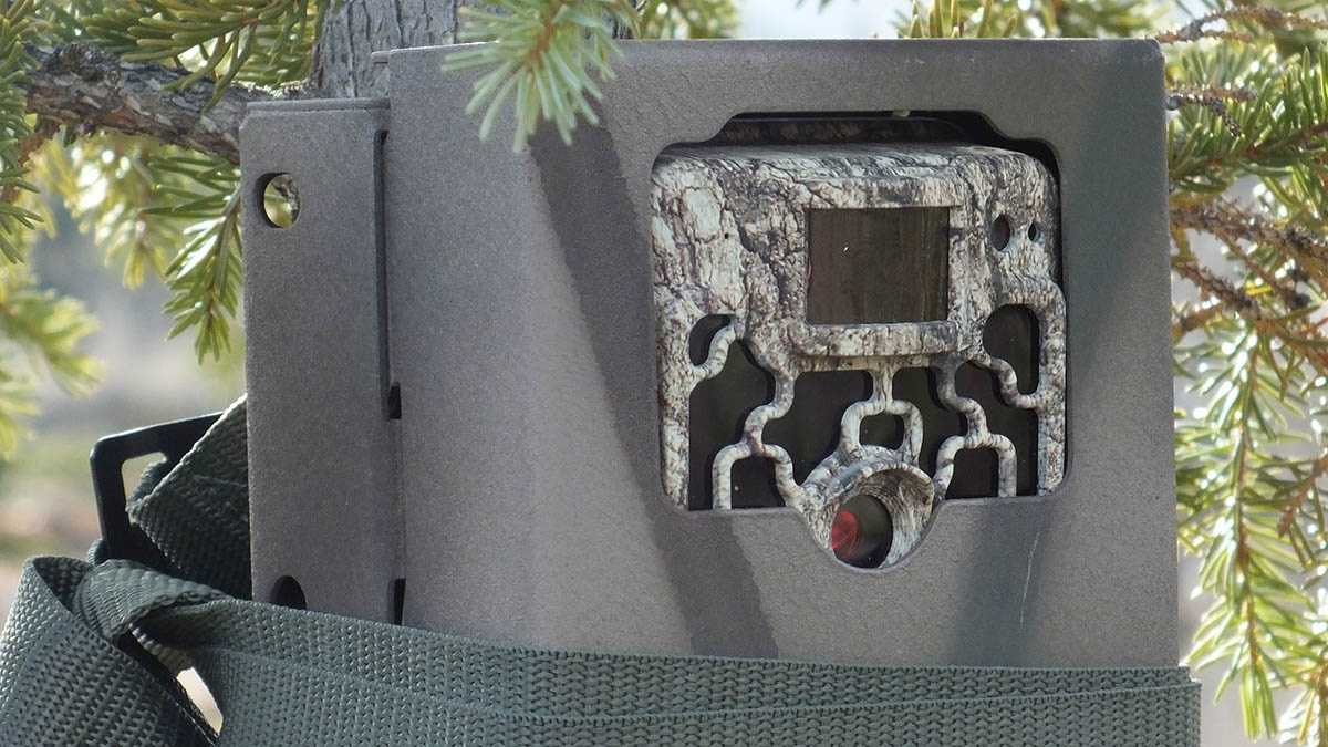 KSP seeks person putting out game cameras with explosives attached