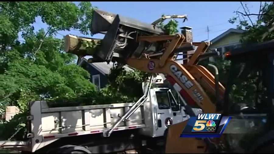 Tornado or not, Wednesday' storms left a mess behind in Hamilton's Lindenwald neighborhood.