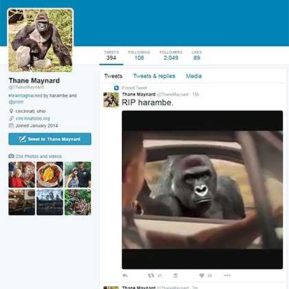 Kenny ➆ on X: We did it Reddit!! Press F to pay respects to the Cincinnati  Zoo's Twitter always remember #harambe  / X