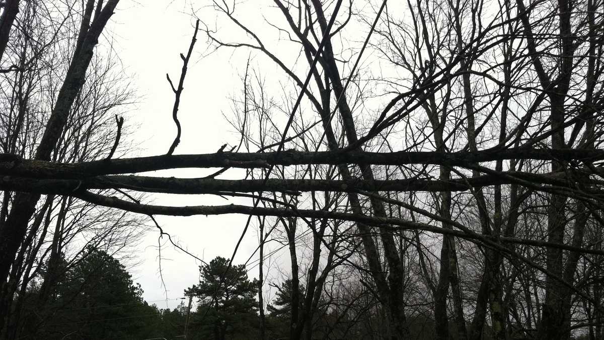 Photos: Clean up begins after storm