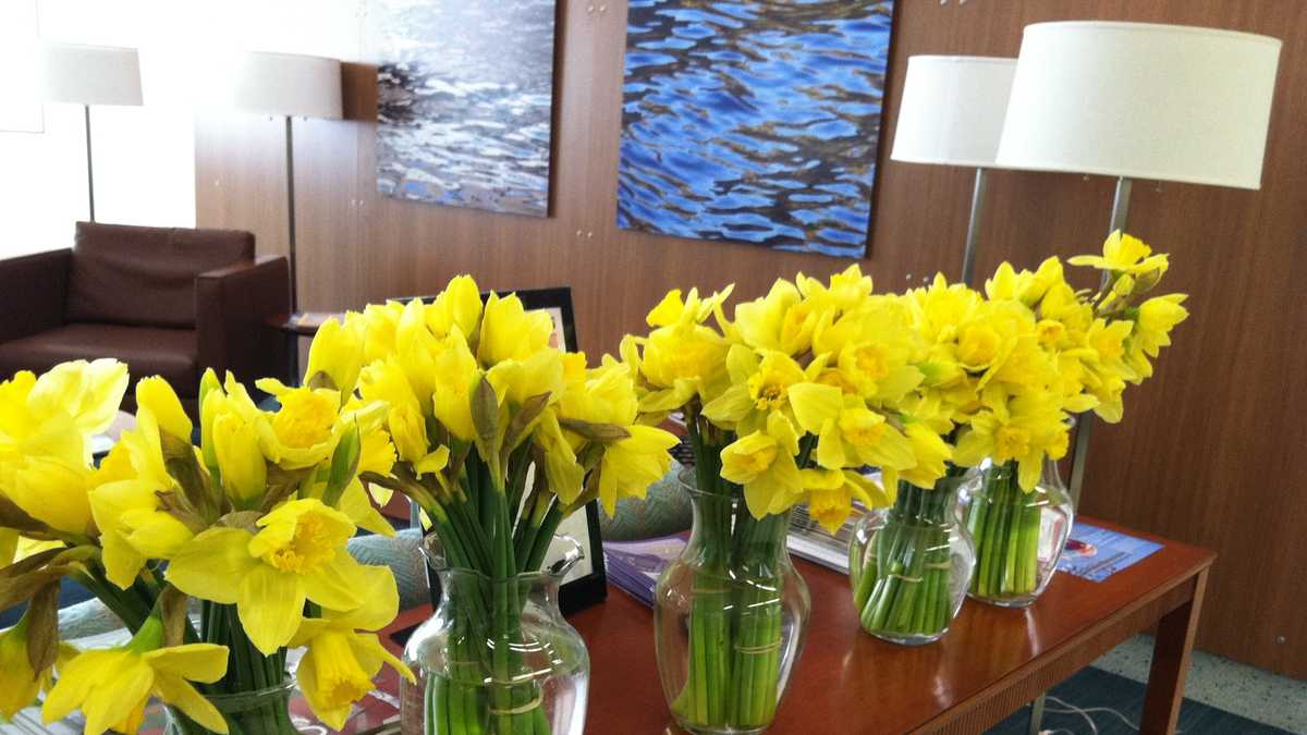 Photos Daffodil Days raising money for cancer society