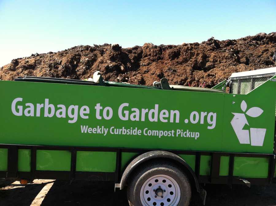 Photos Garbage to garden